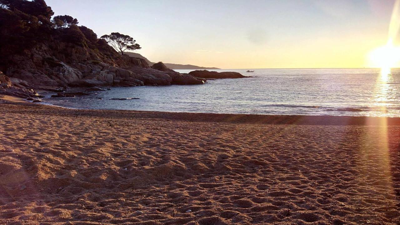 Apartamento Carabelasiente La Brisa Del Mar 滨海托萨 外观 照片